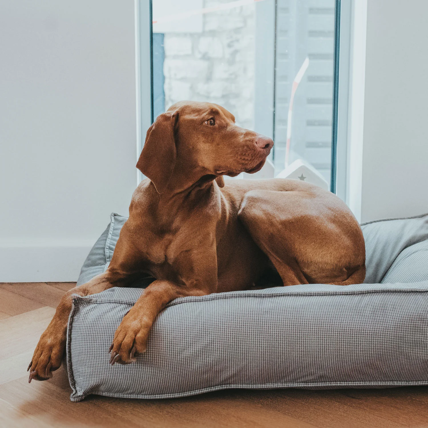 Hunter Lancester hundeseng XLarge 120 x 90 cm Grå